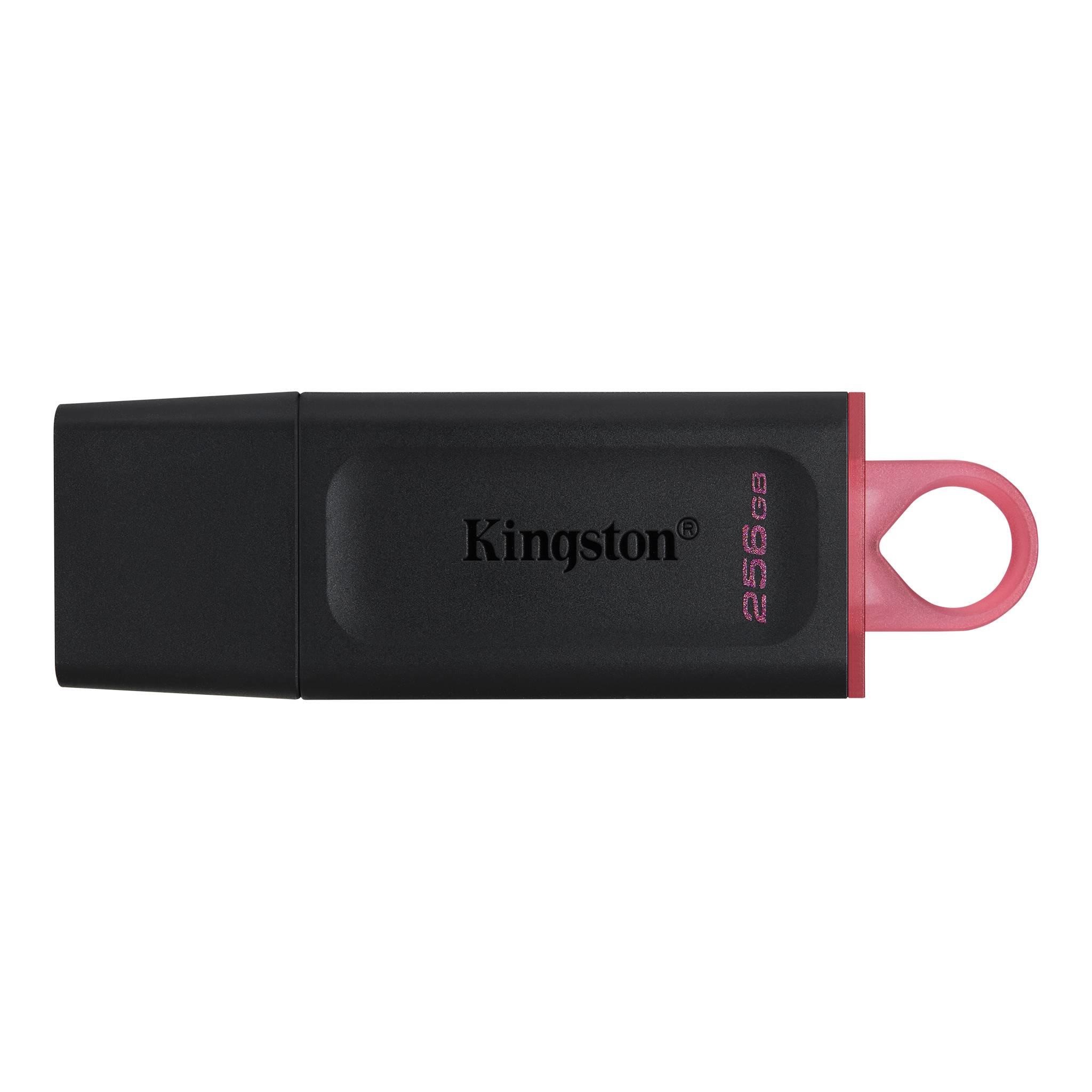 Memoria USB Kingston Technology DTX/256GB - Negro, 256 GB, USB
