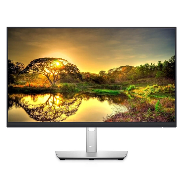 Monitores DELL P2422HE - 23.8 pulgadas, 1920 x 1080 Pixeles, Negro