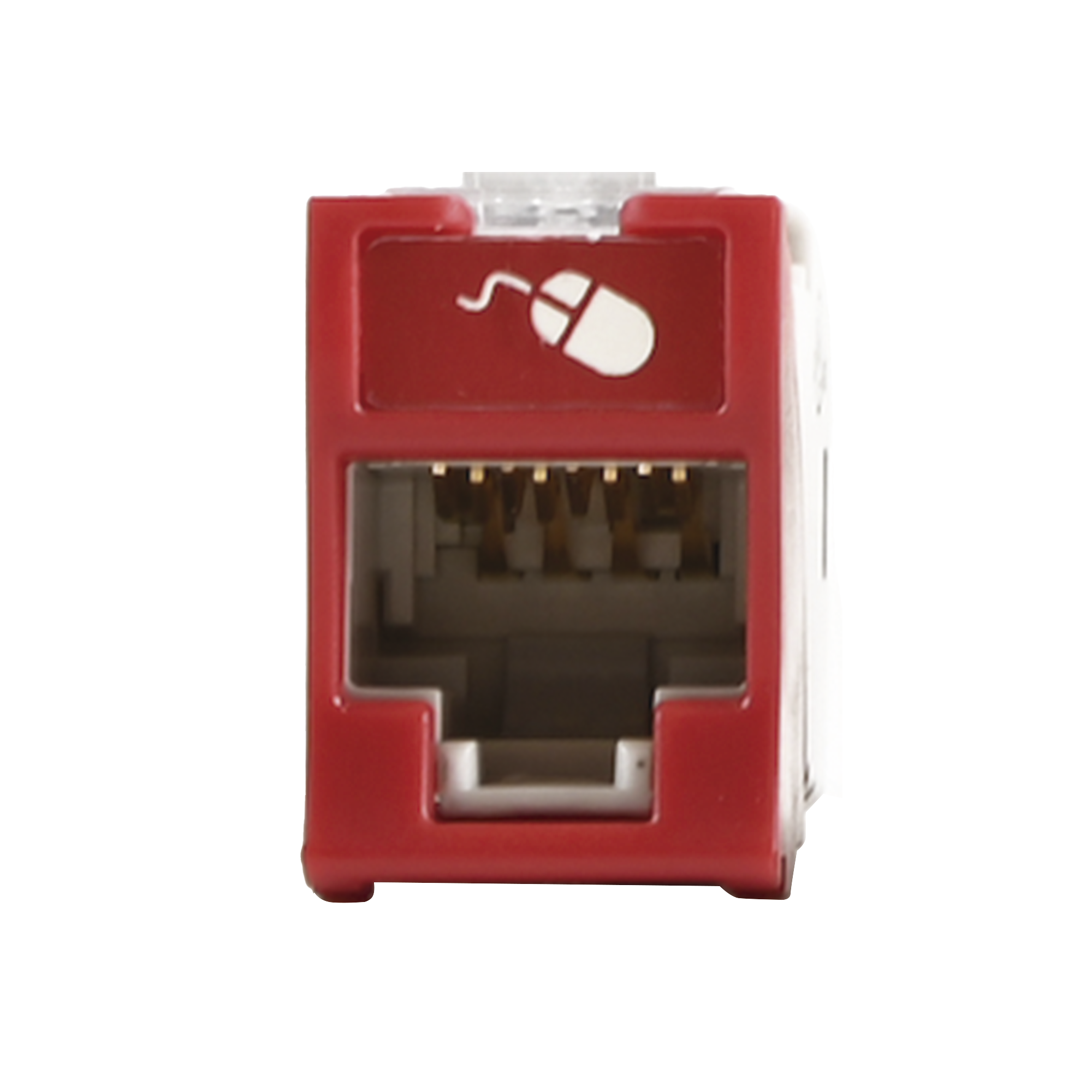 Jack UltraMAX Cat6A, UTP, Montaje híbrido en Placa de Pared (Plano y Angulado), Color Rojo, Punch Down